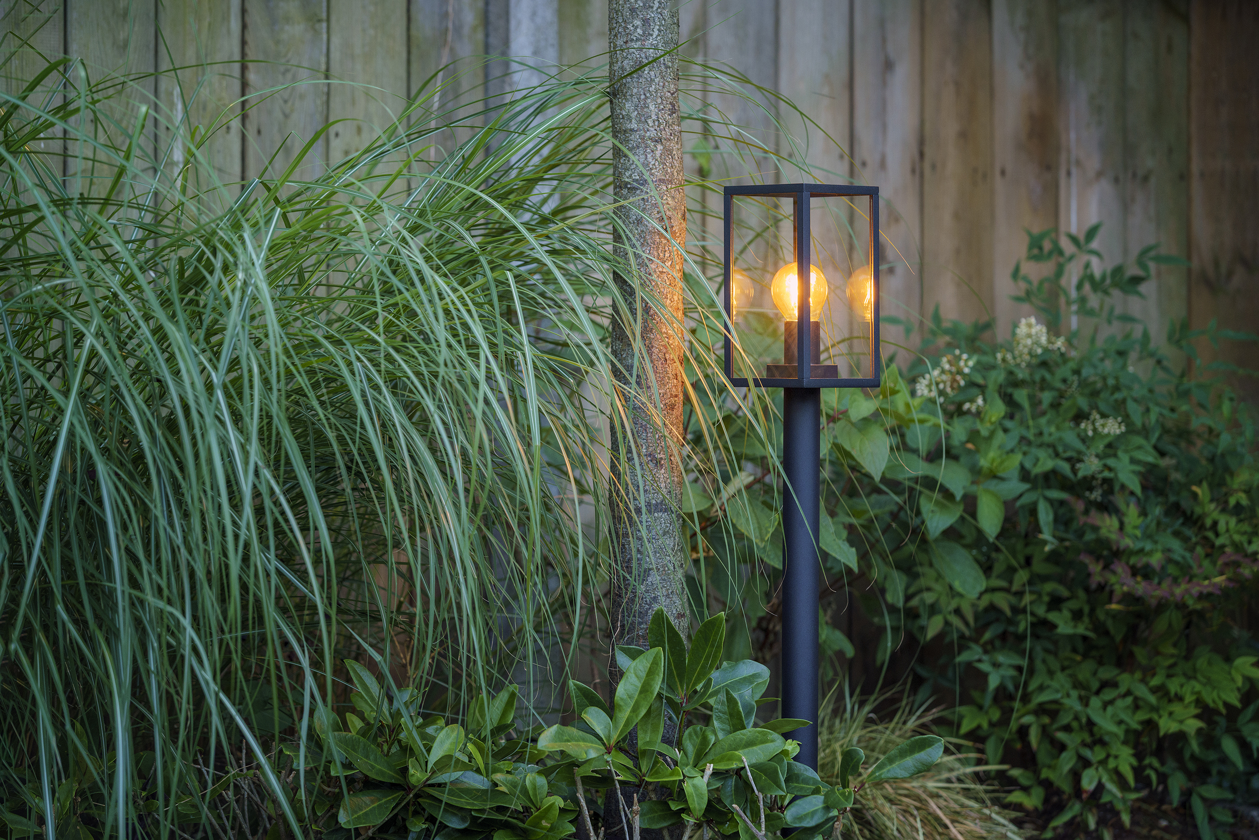 techmars garden light